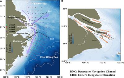 Regulation of Algal Bloom Hotspots Under Mega Estuarine Constructions in the Changjiang River Estuary